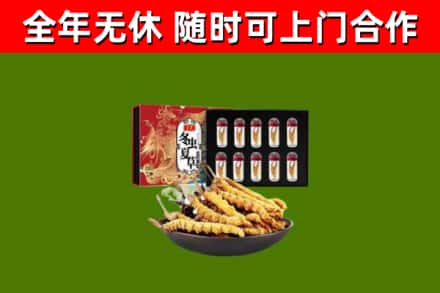 梁溪回收冬虫夏草价格